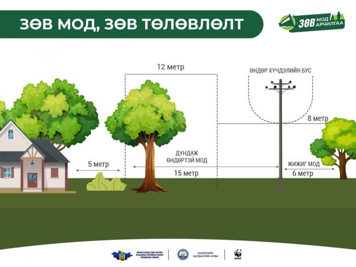 Хашаандаа мод тарих зай талбайтай юу?